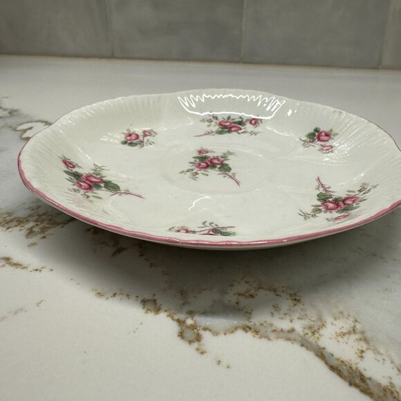 VTG SHELLEY England BRIDAL ROSE BONE CHINA TEA CUP & SAUCER COTTAGECORE FLORAL - Picture 3 of 8